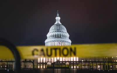 Insurrectionists and Traitors Invade US Capital